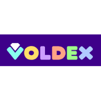 Voldex Company Profile 2024: Valuation, Funding & Investors | PitchBook