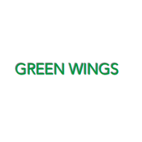 Green Wings 2026 Company Profile: Valuation, Funding & Investors ...