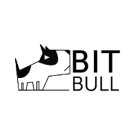 Bitbull (IT Consulting and Outsourcing) 2026 Company Profile: Valuation ...