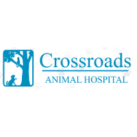 Crossroads Animal Hospital Company Profile 2024: Valuation, Investors ...