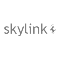 Sky Link(IT Consulting and Outsourcing)