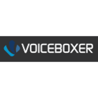 VoiceBoxer