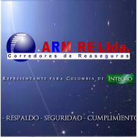 ARM RE