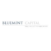 Bluemint Capital Company Profile Service Breakdown Team PitchBook