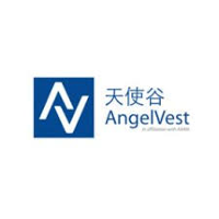 AngelVest Group