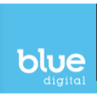 Blue Digital Group 2025 Company Profile: Valuation, Investors ...