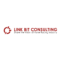 Link Bit Consulting