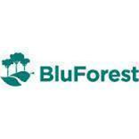 Bluforest
