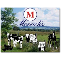 Merrick's 2026 Company Profile: Valuation, Investors, Acquisition ...