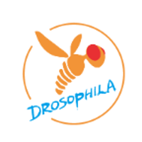 Drosophila Academy