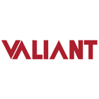 Valiant Solutions