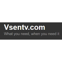 Vision Sports Entertainment Network 2026 Company Profile: Valuation ...
