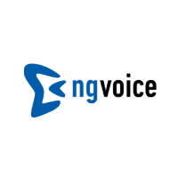 Ng-Voice Company Profile 2024: Valuation, Funding & Investors | PitchBook