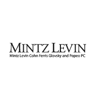 Mintz Levin Financial Advisors