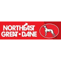 Northeast Great Dane