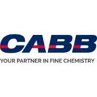 CABB Group 2026 Company Profile: Valuation, Funding & Investors | PitchBook