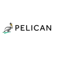 Pelican Wireless Systems Company Profile: Valuation, Funding ...