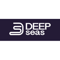 DeepSeas Company Profile 2024: Valuation, Funding & Investors | PitchBook