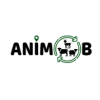 Animob 2026 Company Profile: Valuation, Funding & Investors | PitchBook