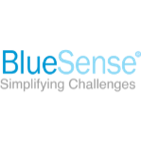 BlueSense Company Profile: Service Breakdown & Team | PitchBook