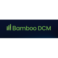 Bamboo DCM 2026 Company Profile: Valuation, Funding & Investors | PitchBook