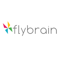 FlyBrain