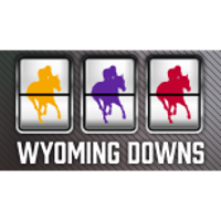 Wyoming Downs Company Profile 2024: Valuation, Funding & Investors ...