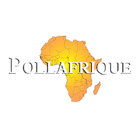 PollAfrique