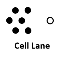 Cell Lane Company Profile 2024: Valuation, Funding & Investors | PitchBook