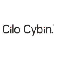 Cilo Cybin Holdings 2026 Company Profile: Stock Performance & Earnings ...