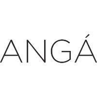 Angá Estudio 2026 Company Profile: Valuation, Funding & Investors ...