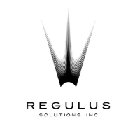 Regulus Solutions (Consulting Services (B2B)) 2025 Company Profile ...