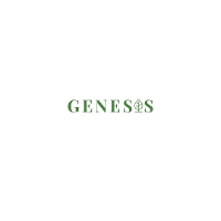 Genesis (Financial Services) 2026 Company Profile: Valuation, Funding ...