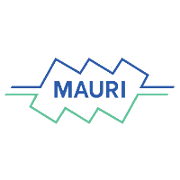 Mauri Bus System 2026 Company Profile: Valuation, Investors ...