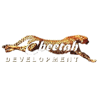 Cheetah Development