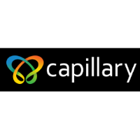 Capillary Technologies India 2026 Company Profile: Stock Performance ...