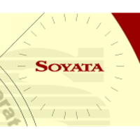 Soyata Computers of Rochester