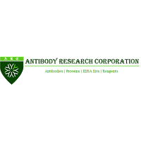 Antibody Research