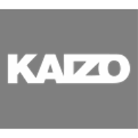 Kaizo (Media and Information Services)