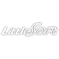 LittleSoft 2025 Company Profile: Stock Performance & Earnings ...