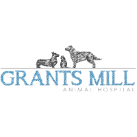 Grants Mill Animal Hospital Company Profile 2024: Valuation, Funding