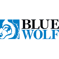 Blue Wolf Capital Partners