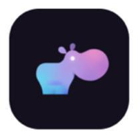 Hippo Technology 2026 Company Profile: Valuation, Funding & Investors ...