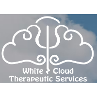 White Cloud Therapeutic Services 2026 Company Profile: Valuation ...