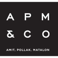 Amit Pollak Matalon Co Company Profile Service Breakdown