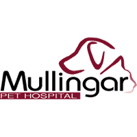 Mullingar Pet Hospital Company Profile 2024: Valuation, Investors ...