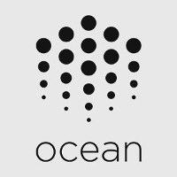 Ocean Protocol Company Profile 2024: Valuation, Funding & Investors ...