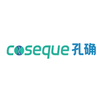 Coseque 2026 Company Profile: Valuation, Funding & Investors | PitchBook