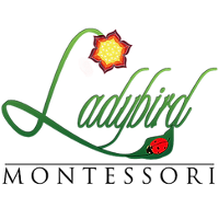 ladybird-montessori-2026-company-profile-valuation-funding