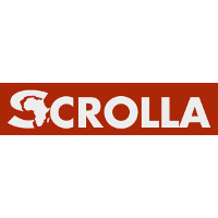Scrolla 2026 Company Profile: Valuation, Funding & Investors | PitchBook